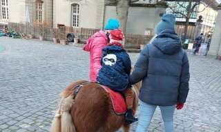 Zwei Erwachsene begleiten ein Kind auf einem Pony im Innenhof des Berner Generationenhaus.